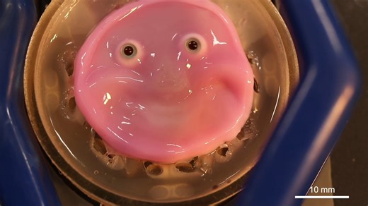 How far do you think we are from realistic robots walking among us? | LiveScience