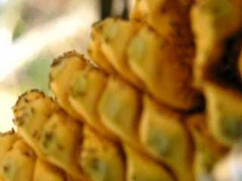 Thrips desert cycad cone