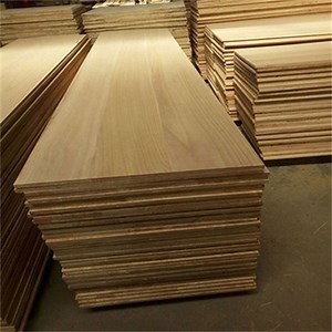 [Hot Item] Paulownia /Solid Wood Surfboard Kits and Building Supplies