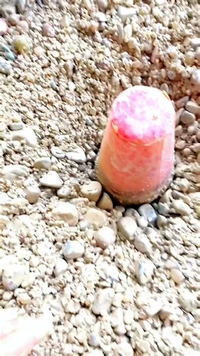 Lapis thumbled stone | Blue Light Gemstones