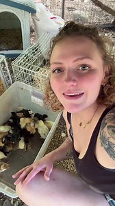 Identifying Mystery Chicken Breeds from a Candy Mystery Box