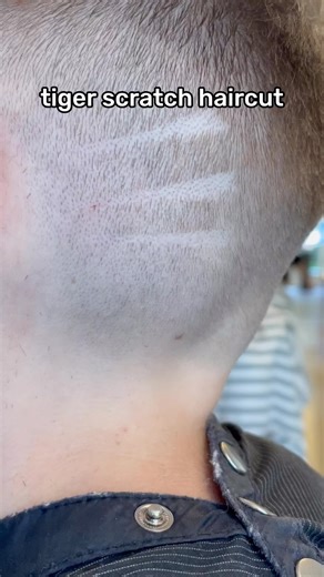 Tiger scratch haircut #tigerscratch #fade #laren #barbierrogier | Barbier Rogier Laren
