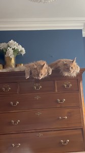 13K views · 2.2K reactions | My morning view! | The Magnificats | Facebook