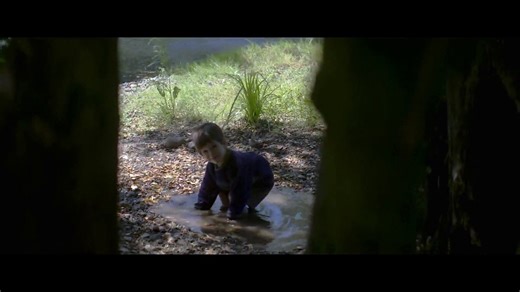 Fever Dream (2021) Watch HD