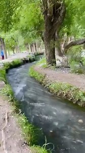 Beauty of Chitral Valley Pakistan 🇵🇰 #Chitral #Chutral_Guide | Chitral Guide