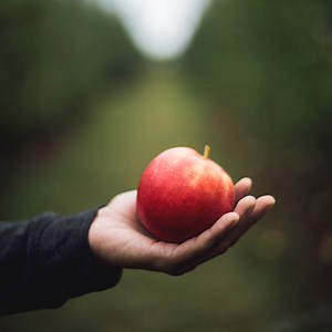Pure, Delicious, and in the palm of your hand. #Apple #Fresh #Juice #Everfresh | Everfresh Juice