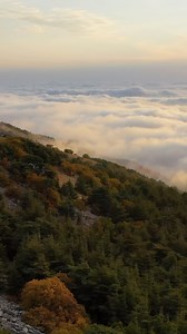 1.3K views · 396 reactions | Lebanon, where every corner tells a story of beauty, resilience, and heritage. From majestic mountains to golden shores, this land is a masterpiece of nature and history. ✨ أجمل بلد بلدي ♥️  Video by @fekraproduction.lb #Lebanon #Nature #Heritage #FekraProduction | Kameel Rayes | Facebook