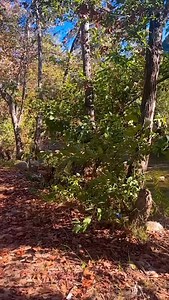 #kfarmatta #aley #dalecorazon #lebanonexplorers #hiking #hikinglebanon #hikingtrails #hikinggroups #nature #randonnée #liban #lebanon #ecotourism #outdoors #experience #nature #mountains #landscape #tourism #travel #destination #discoveries #middleeast #oriental #baladak_siyehtak #لبنان #سياحة #دروب | Dale Corazon - Lebanon Explorers