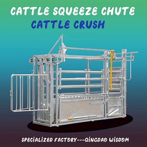 [Hot Item] Cattle Yard Panel System