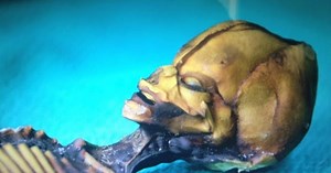 Documentaire toont voor het eerst 'alien' aan de wereld