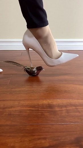 Crushing Toy Bird and Ball with High Heels - Satisfying ASMR Shoecrush