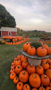 5.6K views · 23 reactions | Autumn in Ulster County.      :  Weed Orchards & Winery #Seekforyourself #UlsterCounty #MarlboroNY #HudsonValley | Ulster County Tourism, NY | Facebook