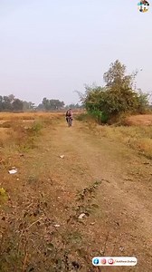 21K views · 2.1K reactions | Patna Ghuma Da Ae Raja #astitwadubey #teamankushraja #ankushrajaofficial #ankush_raja_official #Chahat #jaanankushraja #dilseankushraja #ankushraja #Patna Ankush Raja ❤️ Astitwa Dubey Shilpiraghwani | Astitwa Dubey | Facebook