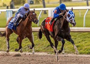 Good Cheer Still Undefeated After Fair Grounds Oaks Win