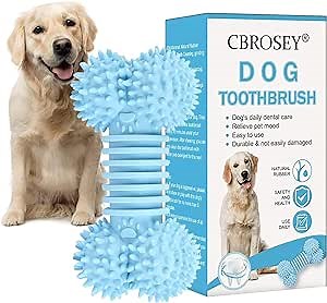 LEAVES AND TREES Y Spaghetti Container Storage, 12 inch Tall Airtight Glass Food Pasta Canisters/Jars with Lids, BPA-Free Cereal Dispenser for Kitchen Corner