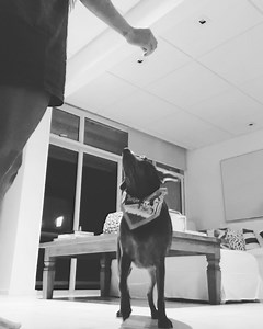 Rachel Apollonio on Reels