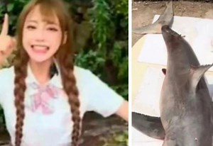 Cái kết đắng của cô gái Trung Quốc liều ăn thịt cá mập để câu view