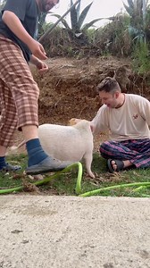 15K views · 979 reactions | Baño de Rosita | Paul Valdivieso EC | Facebook