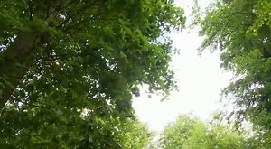 5.3K views · 102 reactions | Men bagay men bagay men bagay | Chachou Creative | Facebook