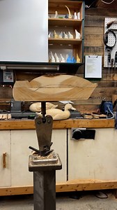 One Blonde Mallard Coming Up! | Michael R. Braun