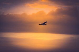 What Will You No Longer Settle For? - WS Coaching