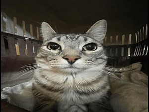 ETB: Quad Easy in 21:03 - WR(unoff again)