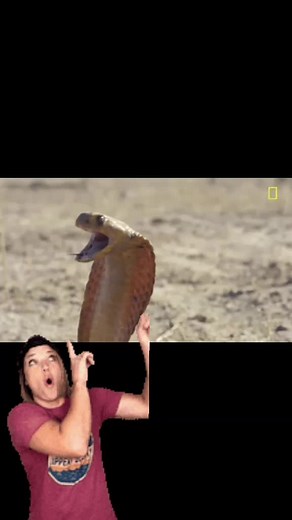 karen_lorey on TikTok