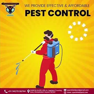 How to get rid of Termites in home ? Call Span Shield Pest Control Service experts