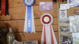 A 360 Tour of the #Heartland Barn Office, with a couple of beauty pics of ol' Paint. #BehindTheScenes #TeamShaunJ #GrandpaJack | Shaun Johnston