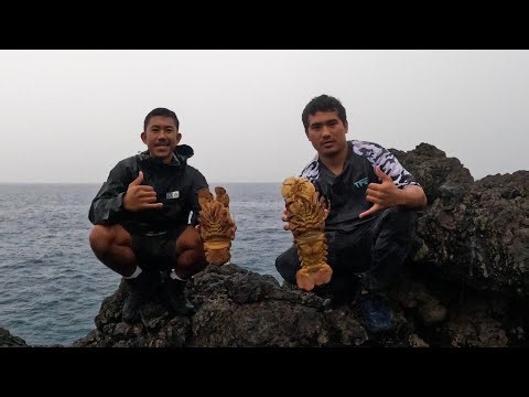 Fishing for lobster! ~ EP.9 | MAUI HAWAII