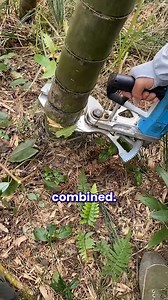 19K views · 34 reactions | Hand-Held Tool For Cutting Down Trees | Giveitlove | Facebook