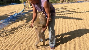 Little Jason Amused Hold Hand Uncle To Lift Up Cuddle | Monkey Jason