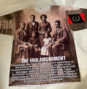 14th Amendment Shirt Equal Rights Granting Citizenship Reconstruction Juneteenth Black History Month Mothers Day Fathers Day Gifts Christmas - Etsy