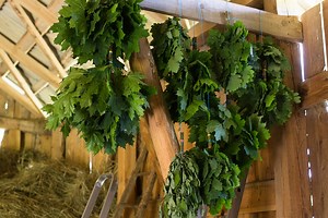 Pirts pakalpojumi kļūst pieprasītāki, arī pirtnieku Latvijā netrūkst