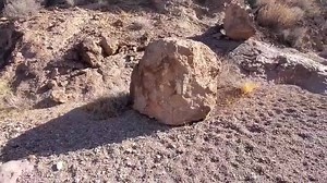 2.6K views · 175 reactions | Roadrunner & Coyote Show.. | The Adventures of Finius the Skinniest | Facebook