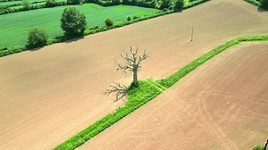 Tiverton, Devon, Angleterre : VUES DE : vidéo de stock (100 % libre de droit) 3926769985 | Shutterstock