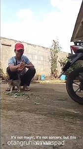 Bukan sulap bukan sihir cuma konten jangan tonton sampai abis ya😃😃 #movie #motivation #couple #mondaymotivation #comedy | Otang Ruhiatman Spad