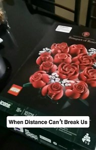 Brenda Fernandez-Weber on Reels