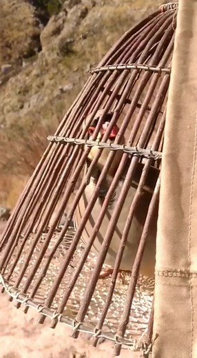 2.2K views · 48 reactions | partridge call | تیتر کی آواز #partridge...