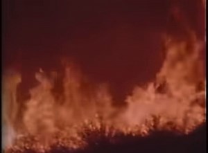 This 1962 documentary “Design for Disaster” shared by the Los Angeles Fire Department last year eerily mirrors the ongoing devastation of the wildfires and explores the catastrophic impact of urban expansion into these fire-prone areas. | Mario Ramirez