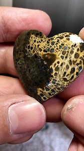 39K views · 916 reactions | The wild beauty of this petrified palm root is truly mesmerizing 勞 #lapidary #lapidaryart #cabochon #petrifiedwood #fossilwood #heartshape | Yazid Ikhsani | Facebook