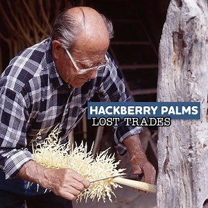 133K views · 2.2K reactions | Filigree made on a hackberry pole 蝹 | Eugenio Monesma Documentaries | Facebook