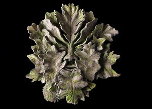 Green Man Concrete Wall Plaque, Foliate Face Nature Sculpture - Etsy