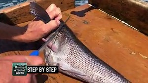 It might not be too long till your back out on the water, so here's a tip for filleting blue cod - Quick, Easy & Clean. . . . Hunting & Fishing New Zealand Hunting & Fishing New Zealand, Westgate Rotorua Hunting and Fishing Hunting and Fishing, Botany Hunting & Fishing Guns & Tackle Napier Hunting & Fishing New Zealand, Ballingers, Christchurch Hunting & Fishing New Zealand, North Shore Hunting & Fishing Nelson Hunting & Fishing New Zealand, Taranaki Hunting & Fishing New Zealand, Waikato Huntin