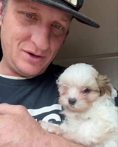 3.3K views · 314 reactions | Meet sweet and precious little...