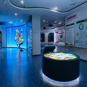 [Hot Item] P8 Outdoor Indoor Soft Module Panel Circular Arc Flexible Ball Circular LED Display