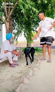 1.8K views · 55 reactions | Bapu sira laa geya | Italy De Punjabi Munde Kuriyaan!!!!! | Facebook