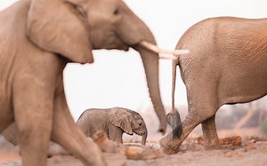 69 reactions · 4 comments | Photography tips from a pro: Respectful...