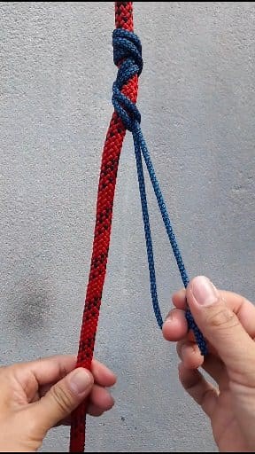 46K views · 439 reactions | Ideas of tying klemheist knot. #knot #knots #hitch #nudos #techniques #bowline #bowlineknot #knottying #campingknot #basicknots #constrictorhitch | Millie | Facebook