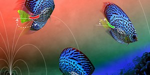 Artificial Muscles That Remember